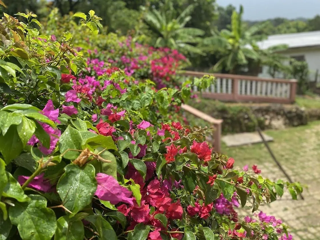 Yanceylargoestate 2Br Villa With Mountain Views Montego Bay