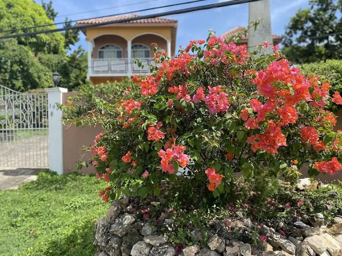 Yanceylargoestate 2Br Villa With Mountain Views Montego Bay